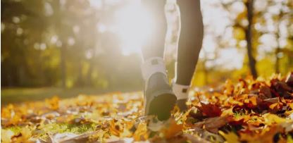 Balade patrimoine artisanal et commercial bourg de Fenioux