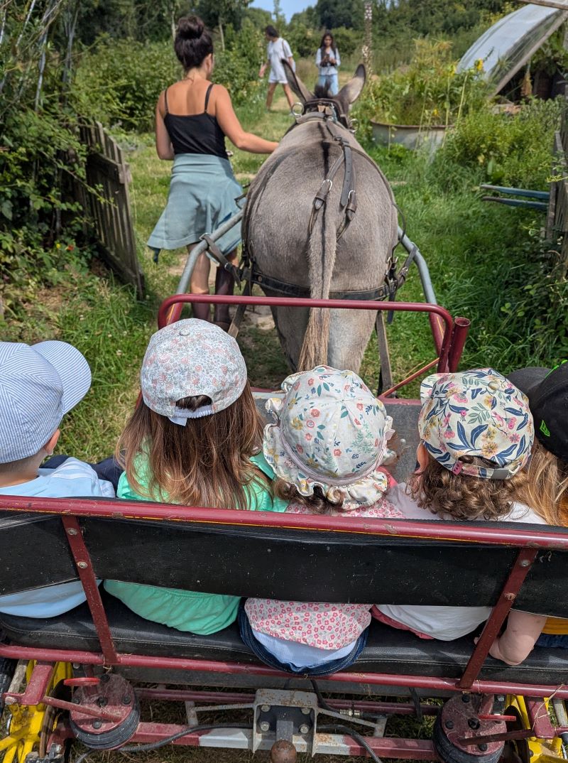 Bal'ane découverte des plantes en carriole tirée par l'âne
