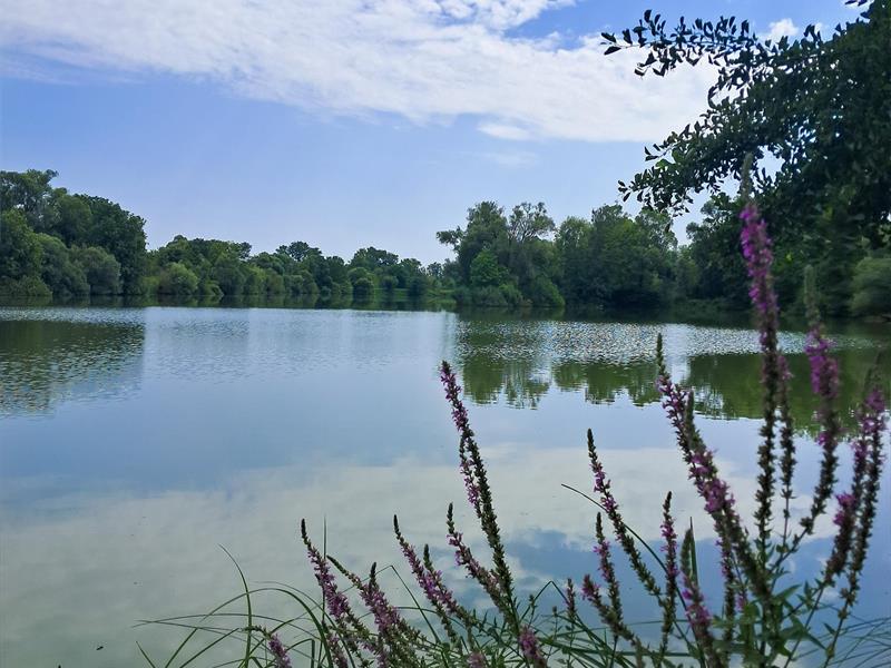 Boucle des 3 étangs Toul Grand Est