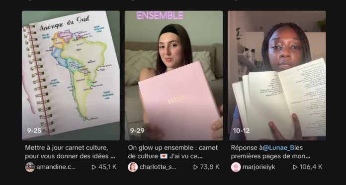 carnet de culture tiktok