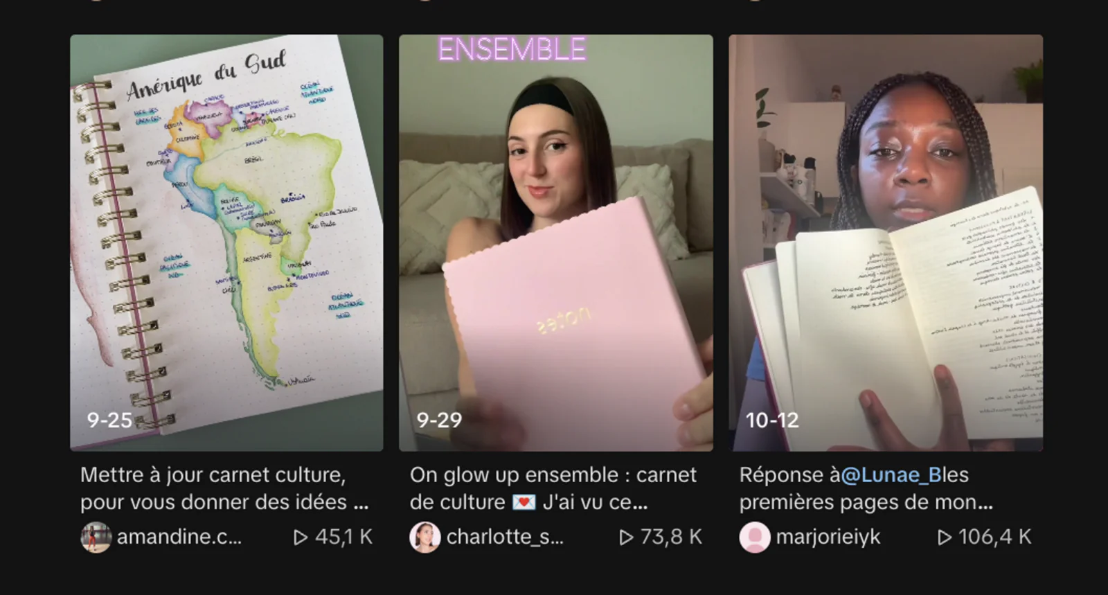 carnet de culture tiktok