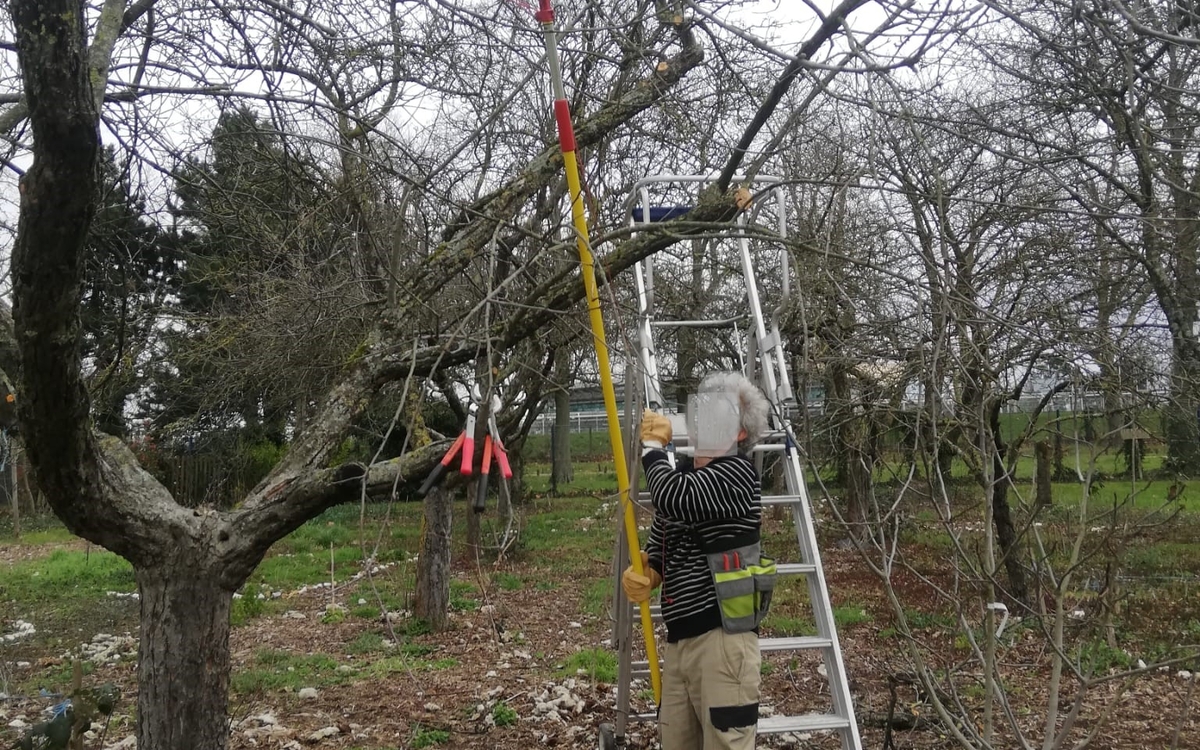 Chantier du verger Ferme de Paris Paris