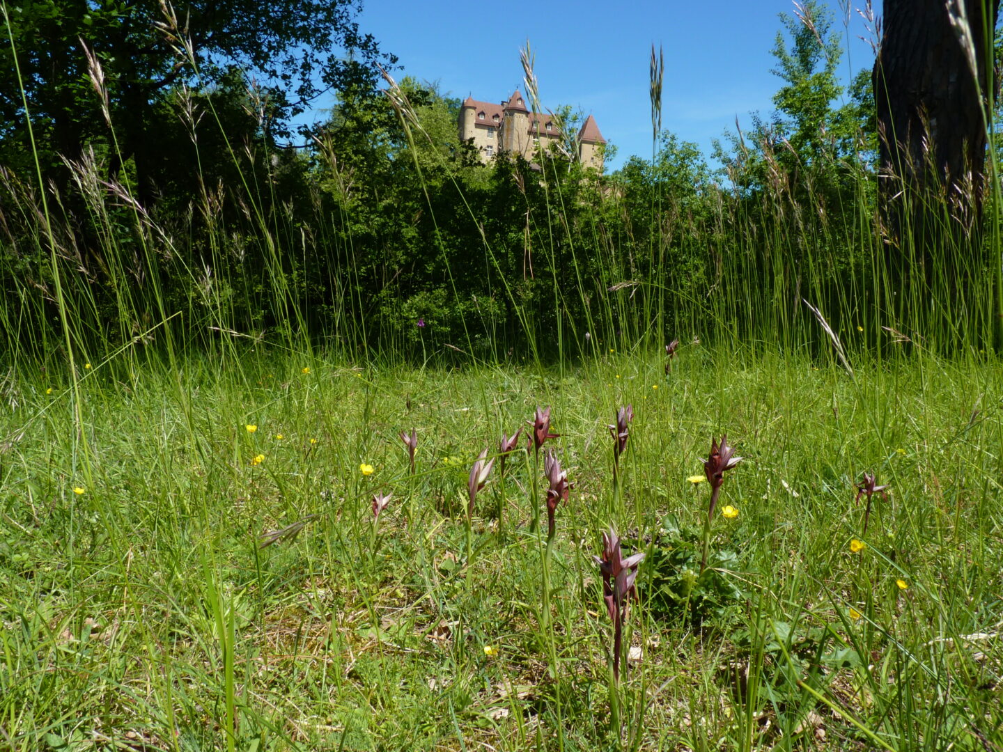 Chantier participatif
