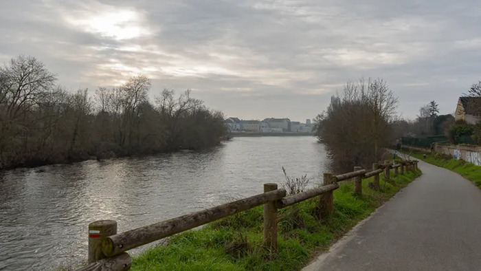 chants d'oiseaux des bords de Vienne