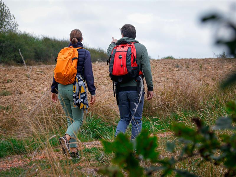 Chemin de Vie et des Crêtes Woustviller Grand Est