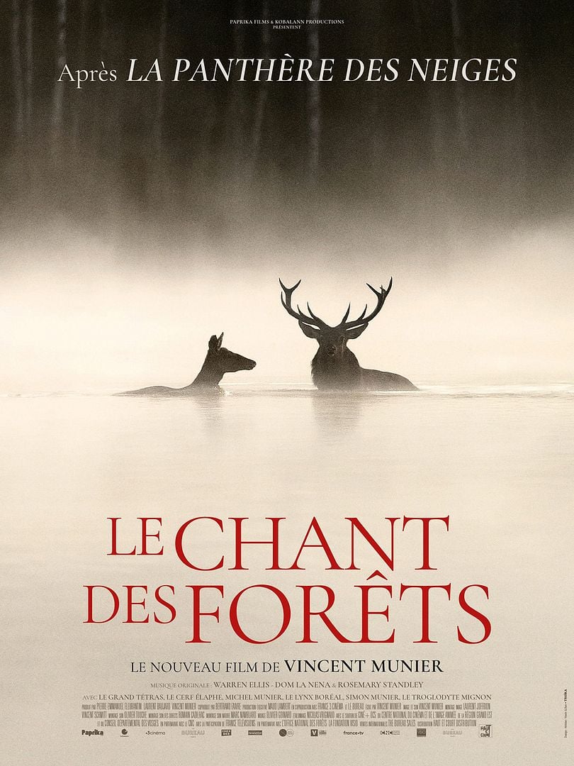CINÉ-DÉBAT LE CHANT DES FORÊTS