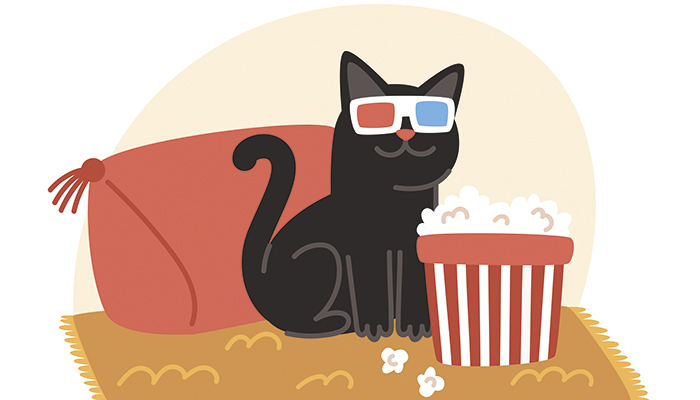 Ciné surprise Médiathèque Lisa Bresner