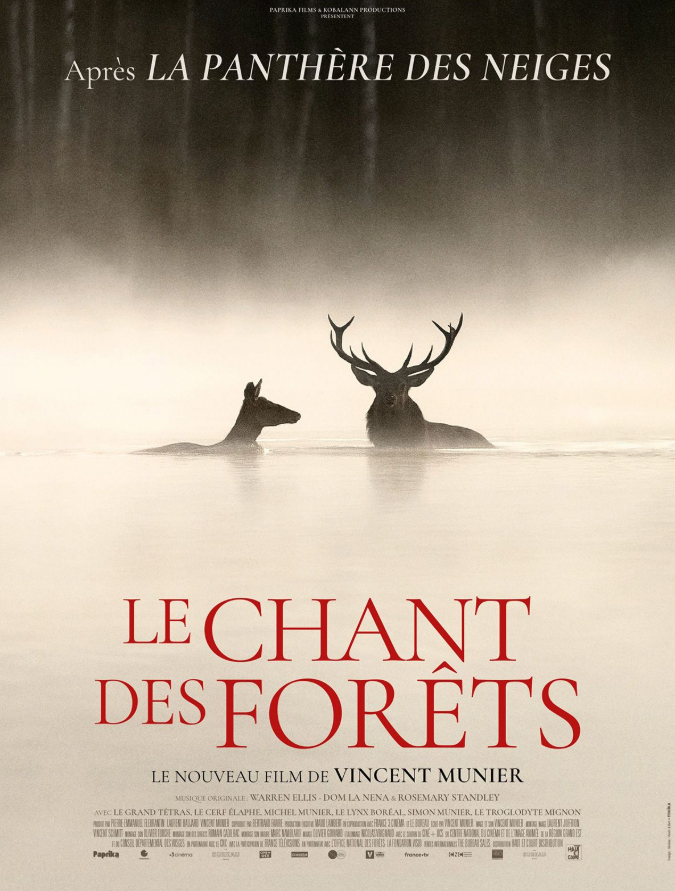 Cinéma Laruns Le Chant des forêts