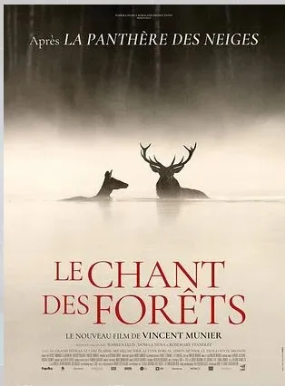 Cinéma Le Chant des forêts