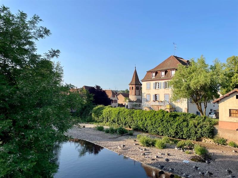 Circuit Croq'vélo Molsheim-Rosheim Molsheim Grand Est