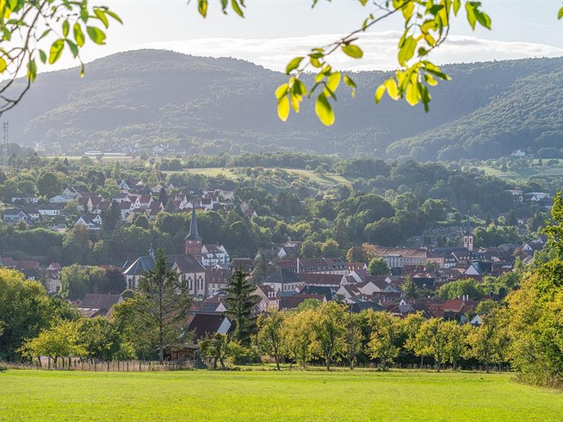 Circuit de randonnée de la piscine au plan d'eau par la Villa Le Riesack Niederbronn-les-Bains Grand Est