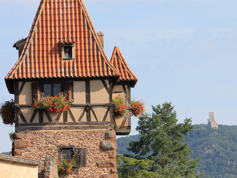 Circuit de visite à travers Châtenois Châtenois Grand Est