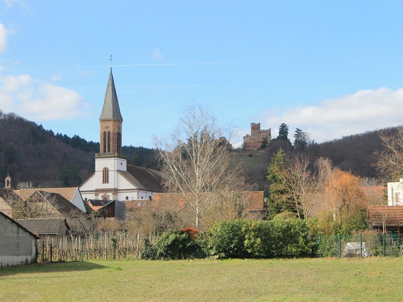 Circuit de visite à travers Kintzheim Kintzheim Grand Est