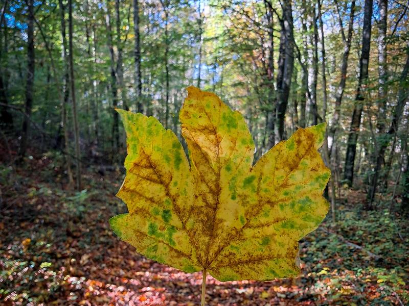 Circuit des Forts Toul Grand Est Circuit des Forts Toul Grand Est