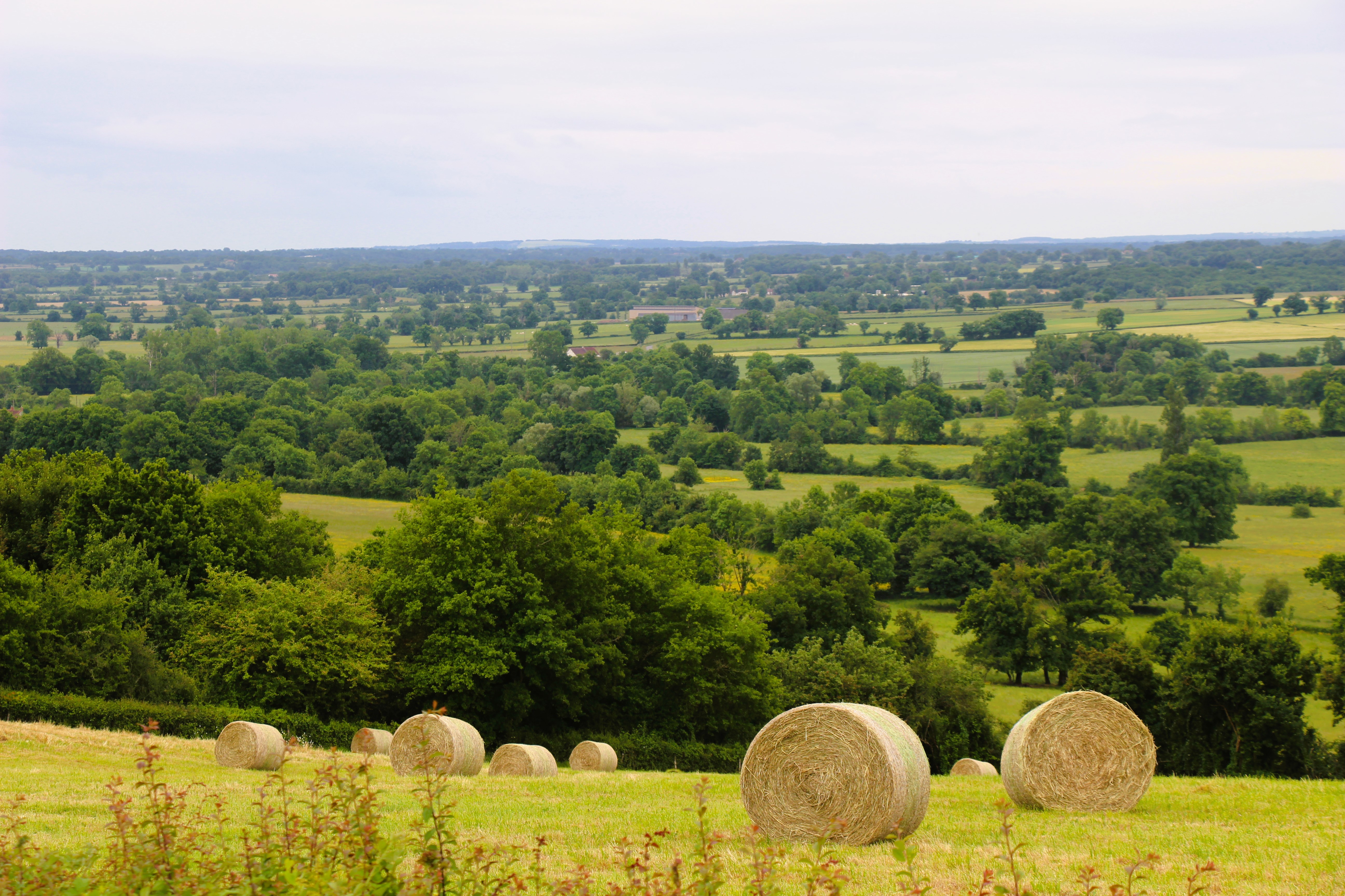 Circuit des Mélusines Le Châtelet Centre-Val de Loire