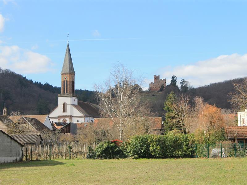 Circuit Tour du Village à Kintzheim Kintzheim Grand Est