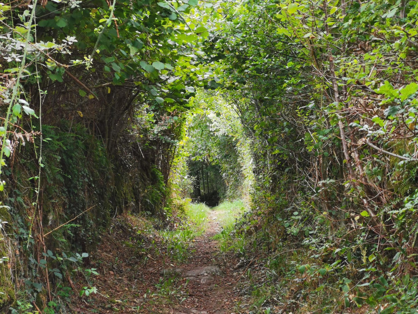 Circuit VTT N°43 CC D’Ahun à Masgot en passant par Chamberaud Chamberaud Nouvelle-Aquitaine