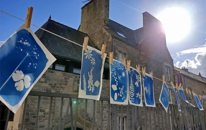 Clic-clac Noël : atelier de cyanotype de 14h30 à 17h30 en continu La Maison du livre Bécherel
