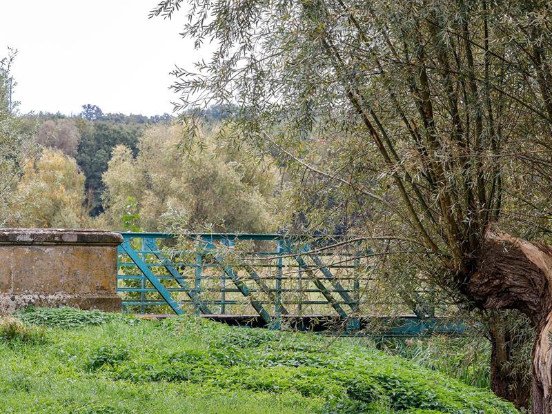 Colchiques et Marais Kappelkinger Grand Est