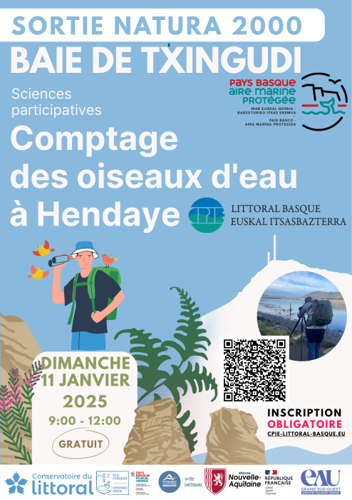Comptage international des oiseaux d'eau
