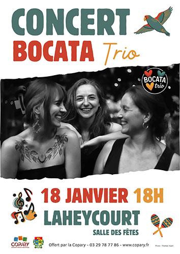 Concert Bocata Trio