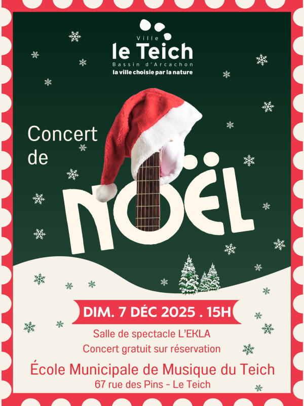 Concert de Noël de l'Ecole Municipale de Musique du Teich.
