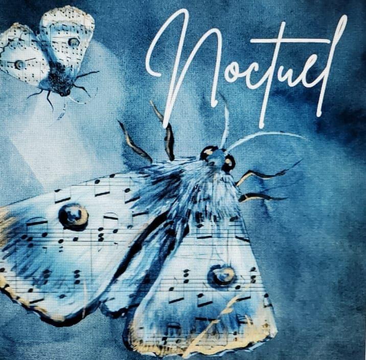 Concert vocal noctuel