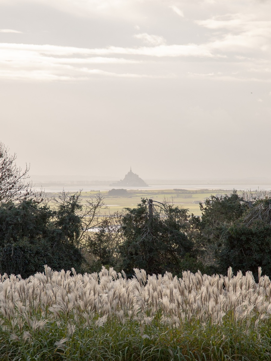 Conférence de l'abbaye du Mont Saint-Michel Images médiévales inédites