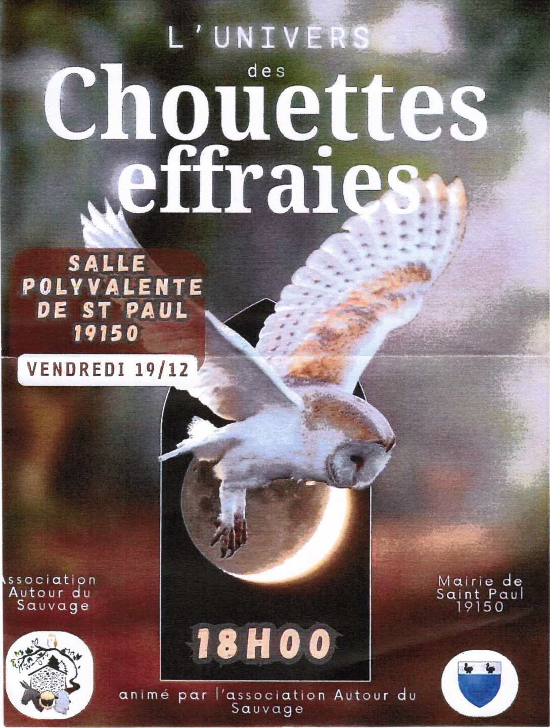 Conférence L'univers de la chouette effraie