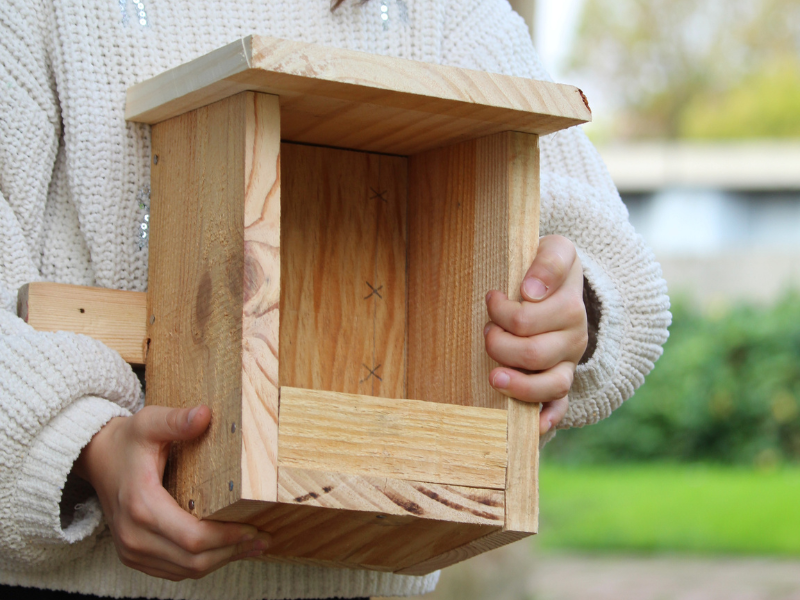 Construction d'une mangeoire à oiseaux à Terres d'oiseaux