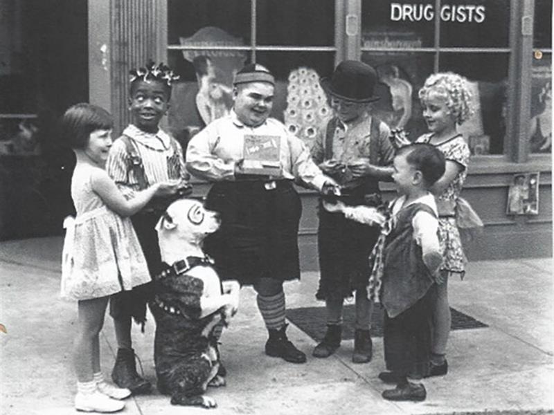 Coup de projecteur sur les petites canailles