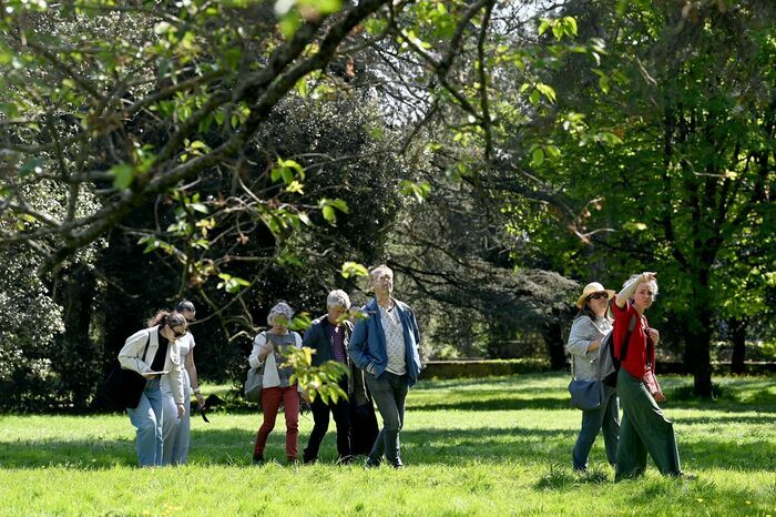 Cycle de 3 balades pour découvrir la nature de Bellevue à Sainte-Anne #2 Quartier Bellevue
