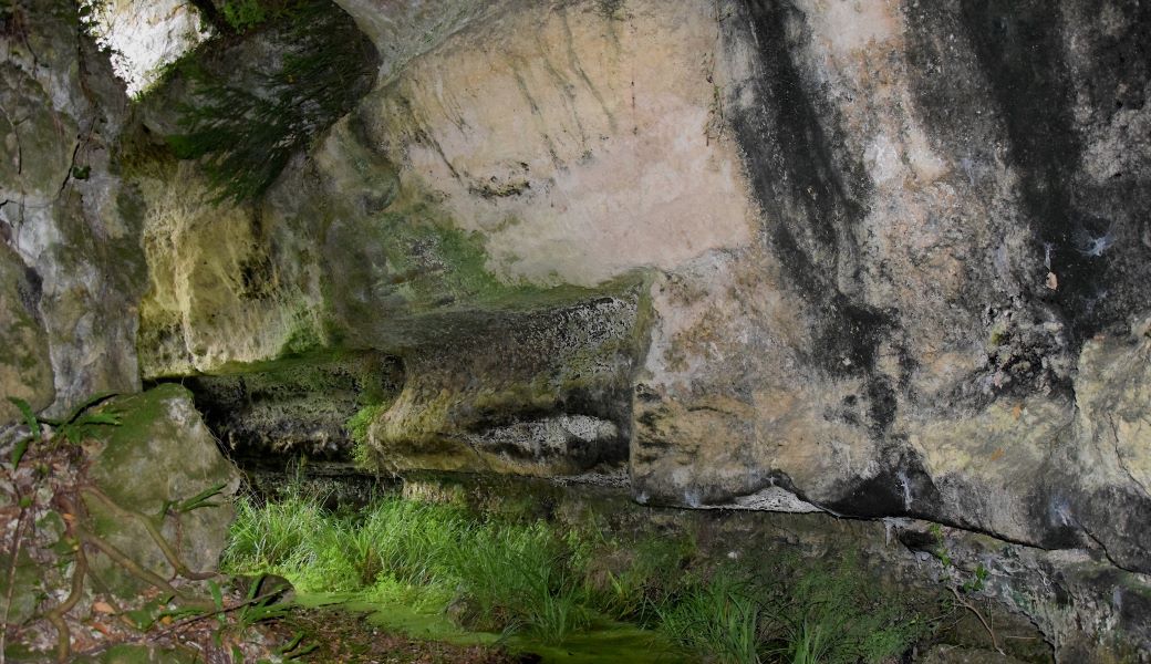 Découverte du site du Mugron Roc de Thau avec Paleo Estuaire 33 Port de Roc de Thau Gauriac 2026-02-08 Découverte du site du Mugron Roc de Thau avec Paleo Estuaire 33