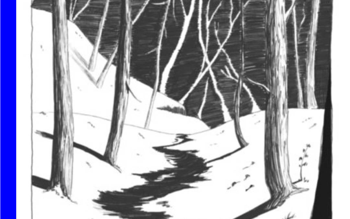 Dissection d'une chute de neige Théâtre de la cité internationale Paris