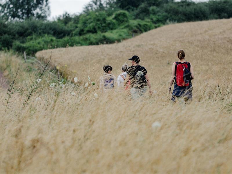 Du Green à la Forêt Rouhling Grand Est