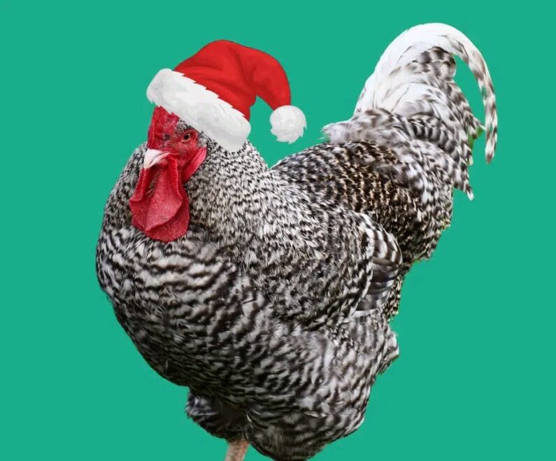 écomusée Coucou Rennes