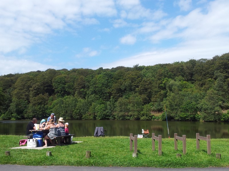 En lisière de forêt Noues de Sienne Normandie