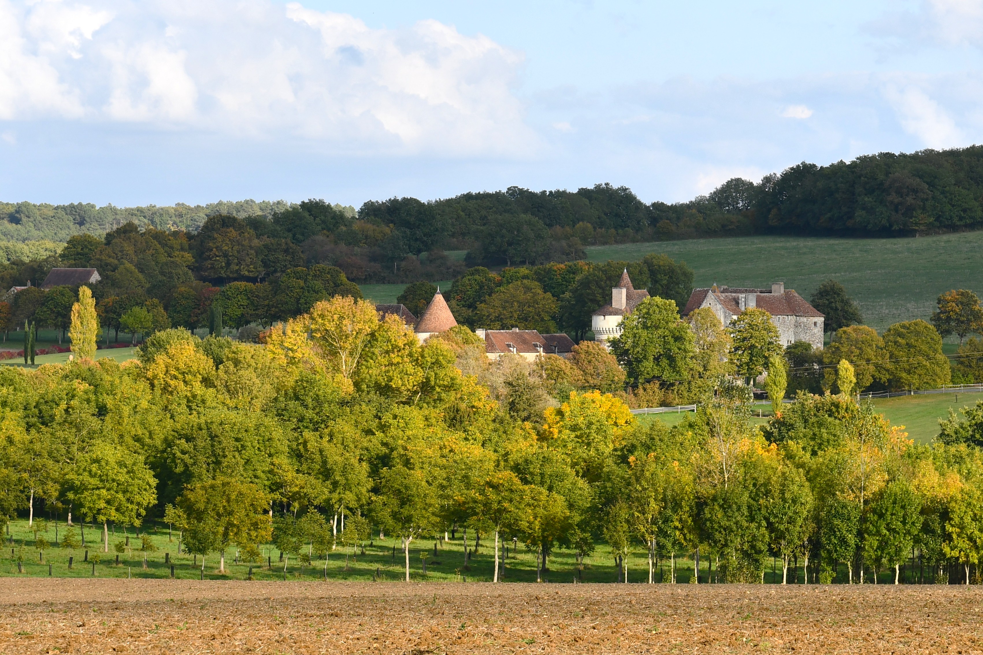 Entre Champs et Forêt Circuit n°63 Coussay-les-Bois Nouvelle-Aquitaine