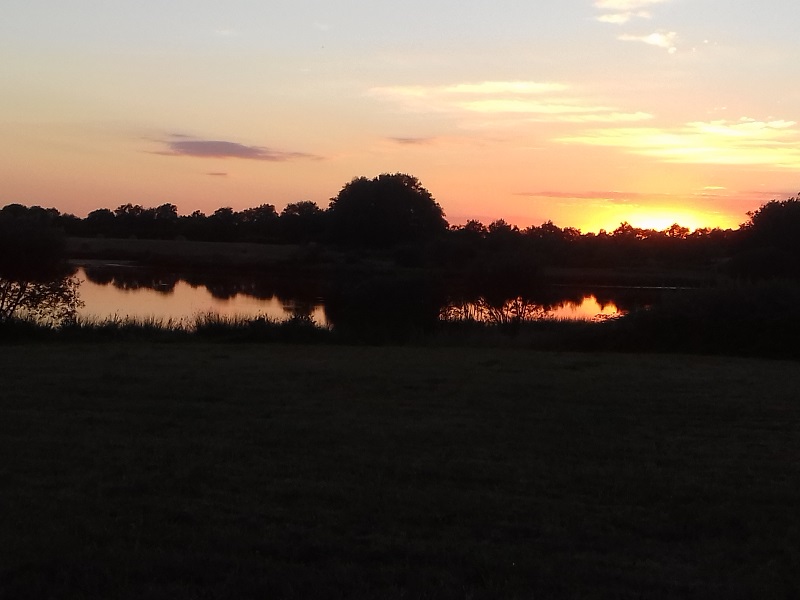 Entre chien et loup sur les bords de l'étang Massé