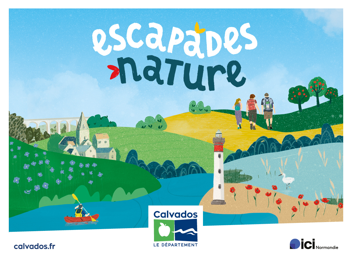 Environnement et créatures de la plage