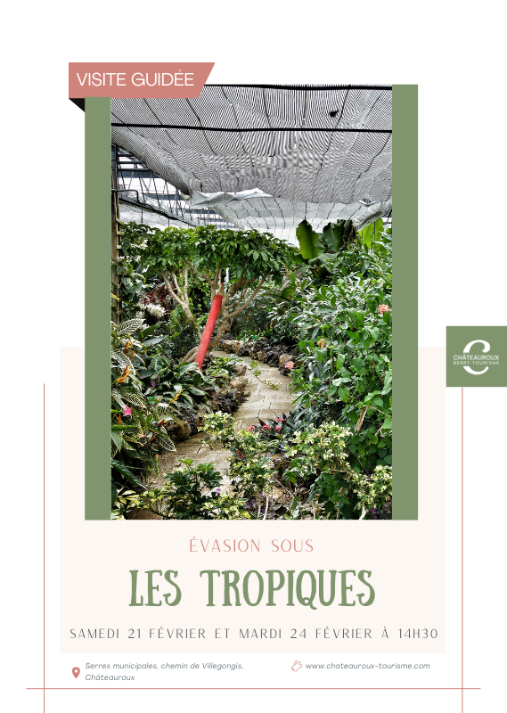 Évasion sous les tropiques