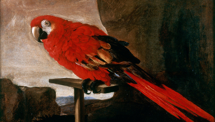 Eveil à l'art : Le voyage de Lazlo Musée d'arts de Nantes