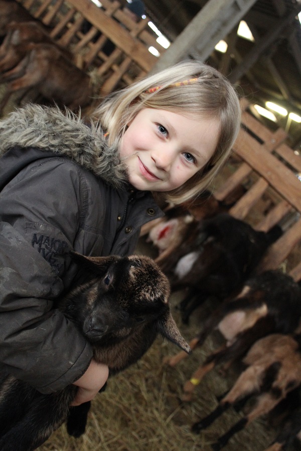 Expérience fermier d’un jour