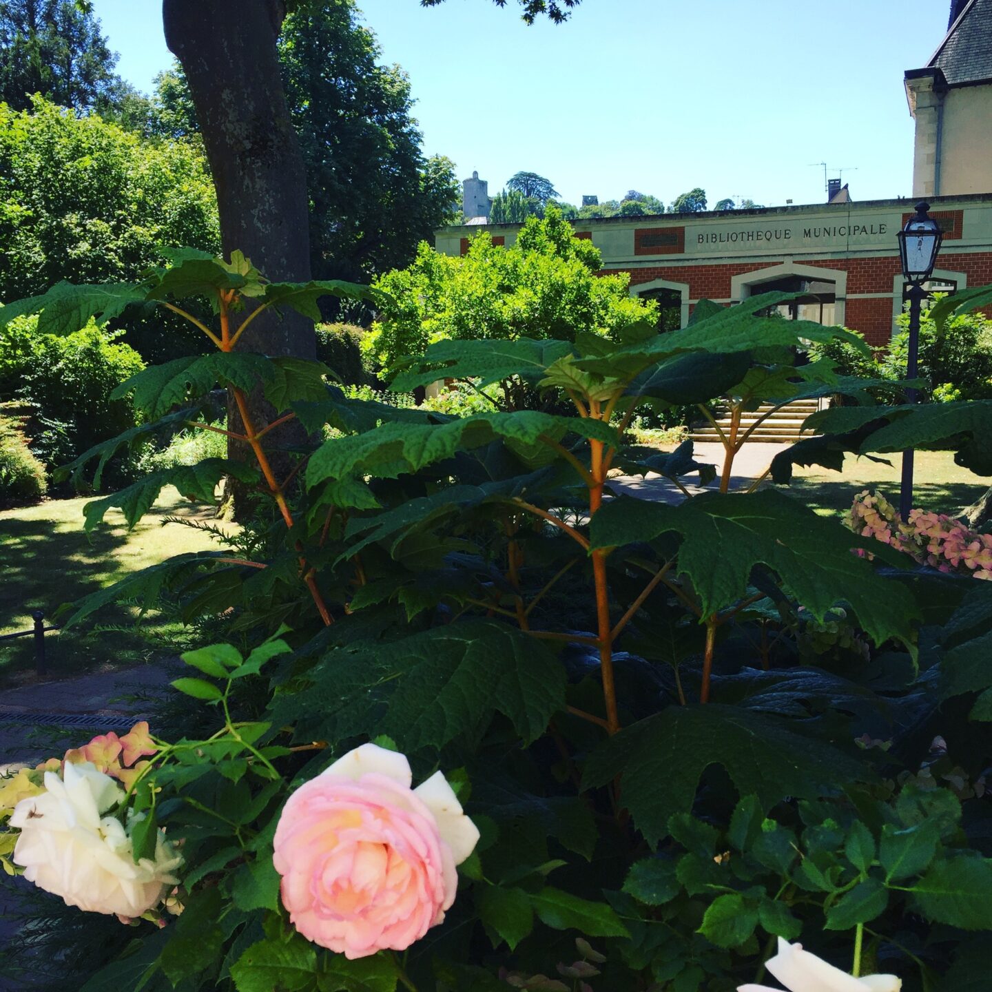 Exposition Au fil à Vendôme