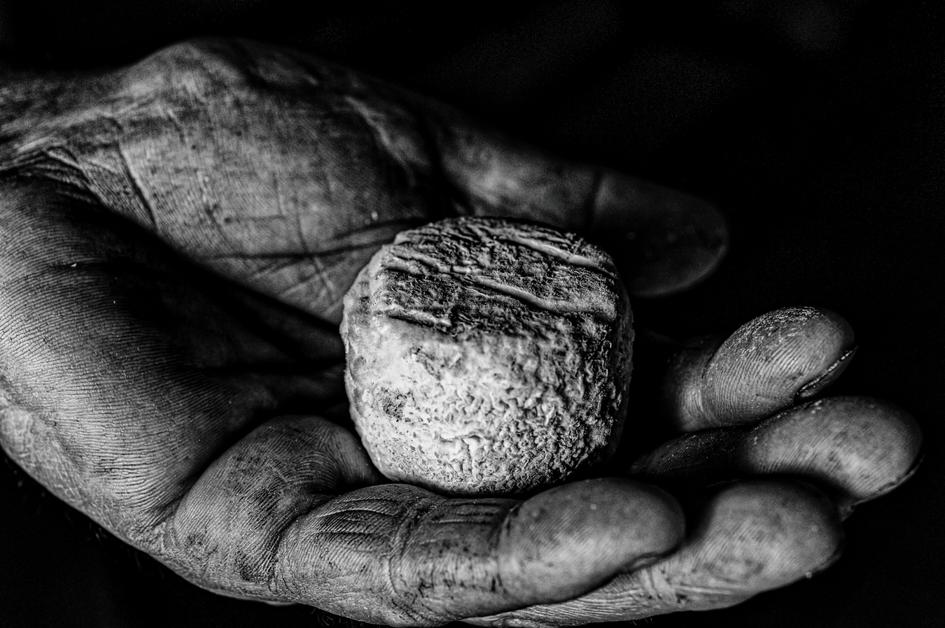 [Exposition] Le Chavignol un demi-siècle d'excellence