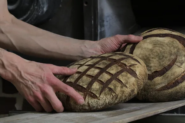 Exposition “Portait d’artiste Eric Trouvé