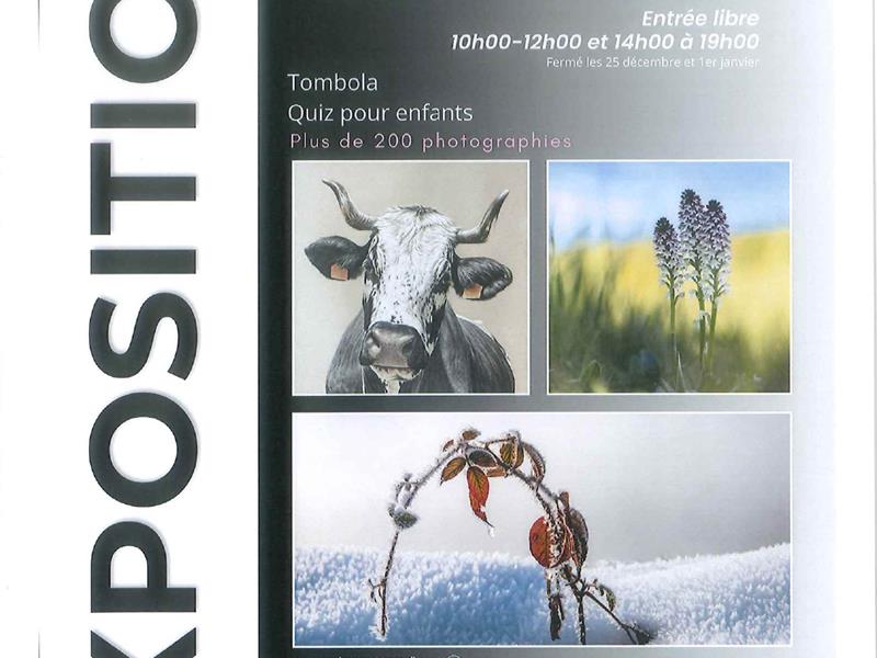 Exposition Rencontres Nature en Images 16 Rue Charles de Gaulle Gérardmer 2025-12-20 Exposition Rencontres Nature en Images