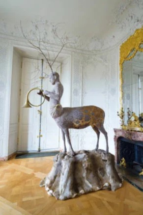 Exwposition L'hiver aux oiseaux Julien Salaud