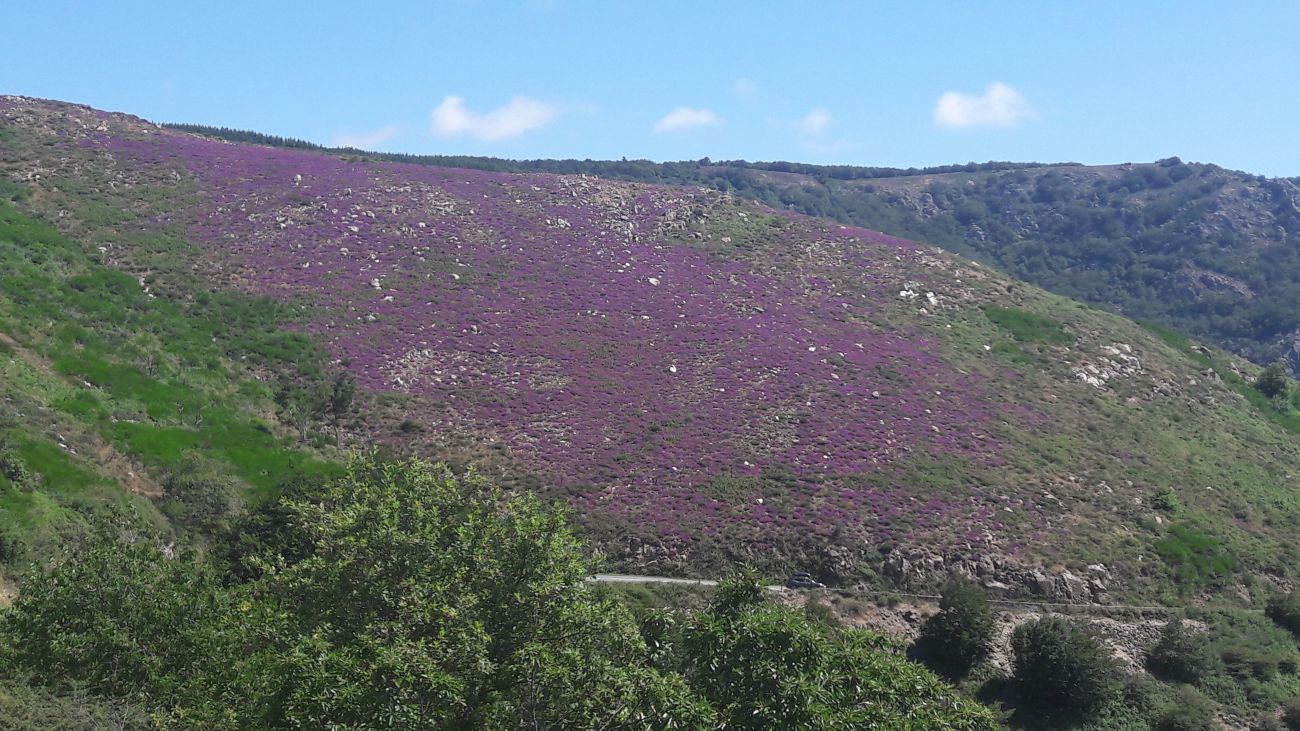 FAIRE UN TOUR DE TABLE LE CAROUX CIRCUIT CYCLO N° 9 Fraisse-sur-Agout Occitanie