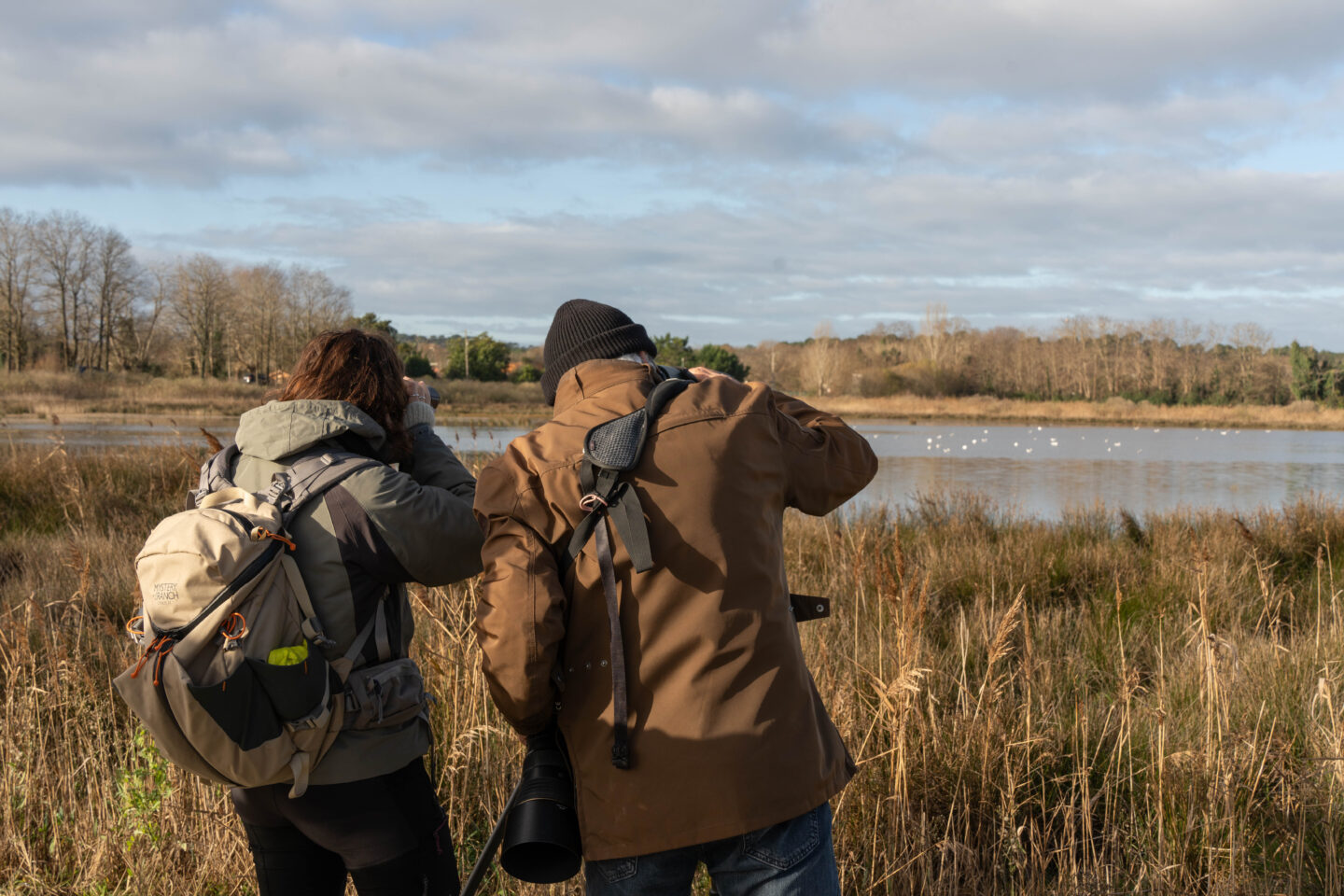 Formation aux oiseaux du littoral les oiseaux hivernants du bassin d'Arcachon